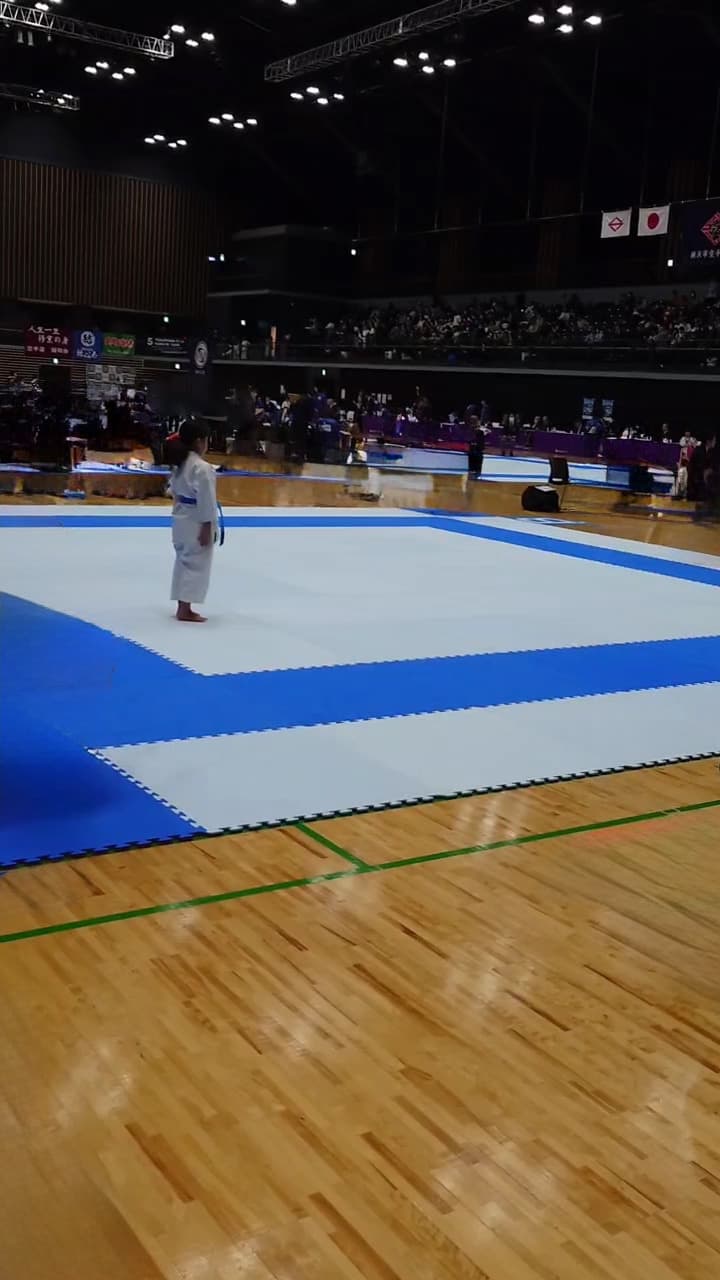 113.jpg
